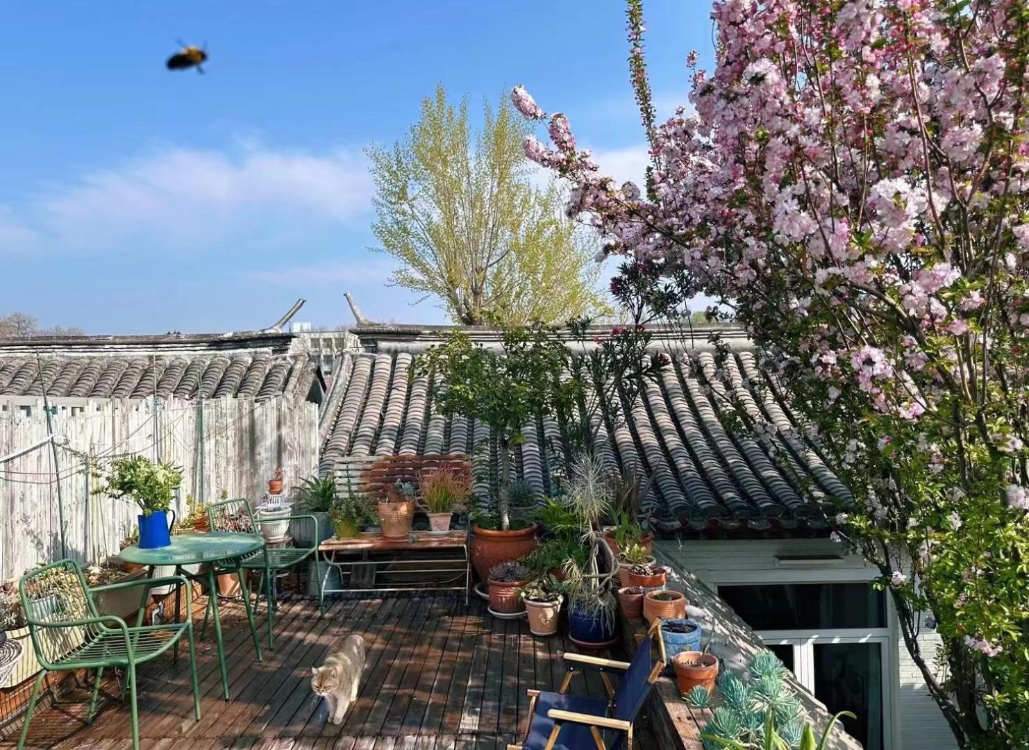 Peking Garden Boutique Hotel Eksteriør billede