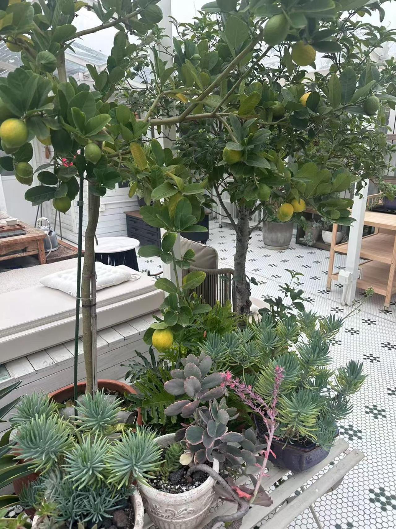 Peking Garden Boutique Hotel Eksteriør billede