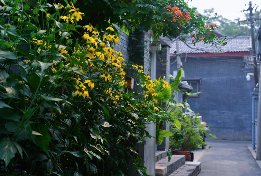Peking Garden Boutique Hotel Eksteriør billede